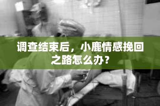调查结束后，小鹿情感挽回之路怎么办？