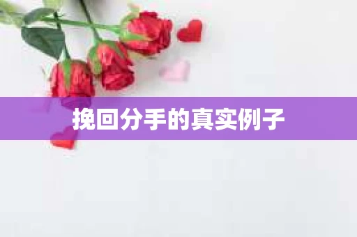 挽回分手的真实例子