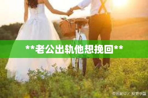 **老公出轨他想挽回**