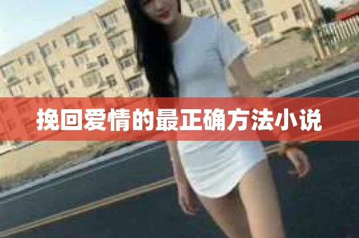 挽回爱情的最正确方法小说