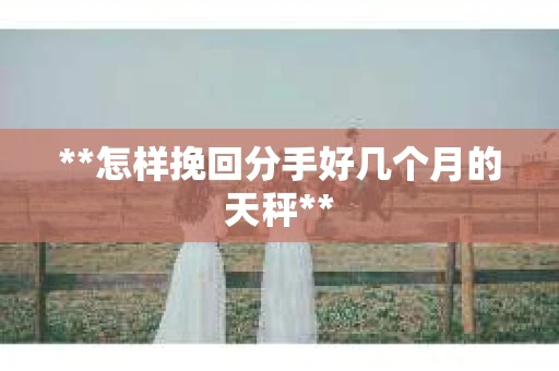 **怎样挽回分手好几个月的天秤**