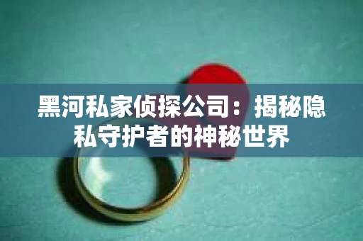 黑河私家侦探公司：揭秘隐私守护者的神秘世界