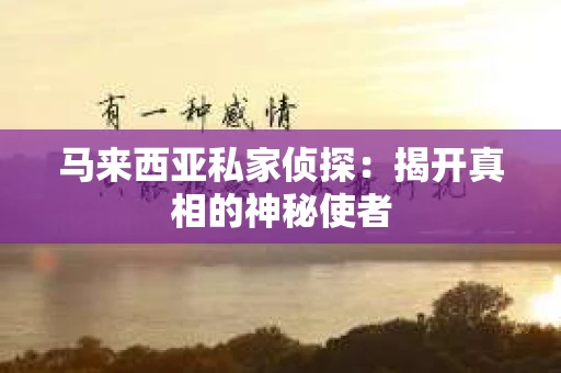 马来西亚私家侦探：揭开真相的神秘使者