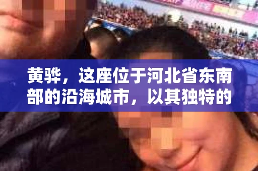 黄骅，这座位于河北省东南部的沿海城市，以其独特的地理位置和丰富的历史文化而闻名。然而，在这座城市中，还有一群人，他们以另一种方式默默守护着社会的公平与正义——私家侦探。今天，我们就来聊聊黄骅的私家侦探，看看他们是如何在这个城市中发挥作用的。