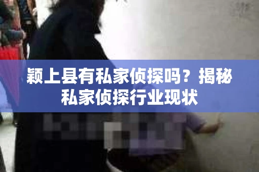 颖上县有私家侦探吗？揭秘私家侦探行业现状