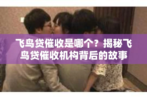 飞鸟贷催收是哪个？揭秘飞鸟贷催收机构背后的故事