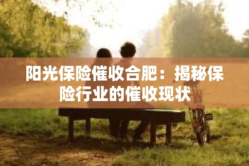 阳光保险催收合肥：揭秘保险行业的催收现状