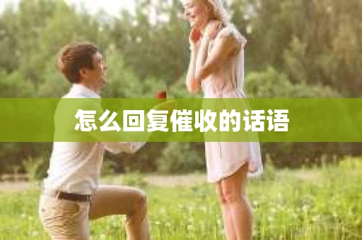 怎么回复催收的话语