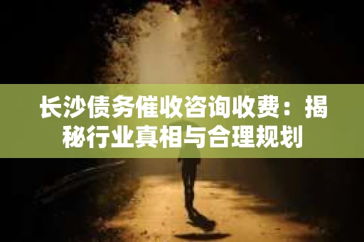 长沙债务催收咨询收费：揭秘行业真相与合理规划