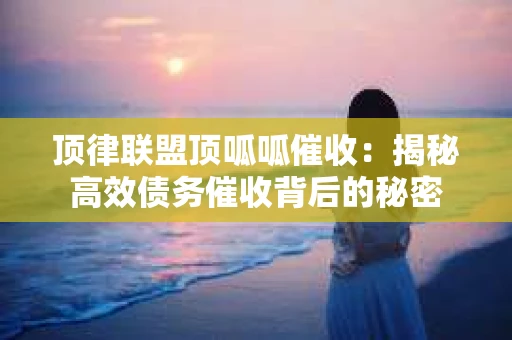 顶律联盟顶呱呱催收：揭秘高效债务催收背后的秘密