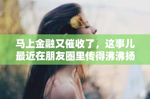马上金融又催收了，这事儿最近在朋友圈里传得沸沸扬扬。说实话，我也有点好奇，这马上金融到底是怎么回事？催收又是怎么一回事？今天，我就来跟大家聊聊这个话题。