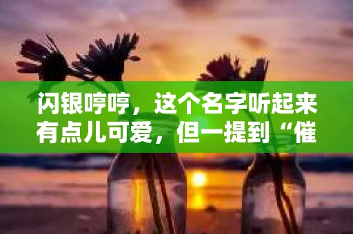 闪银哼哼，这个名字听起来有点儿可爱，但一提到“催收”，气氛就变得严肃起来。今天，我们就来聊聊这个话题，揭开“闪银哼哼催收”的神秘面纱。