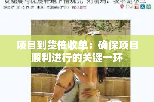 项目到货催收单:确保项目顺利进行的关键一环 项目到货催收单:确保项目顺利进行的关键一环
