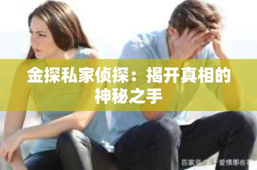 金探私家侦探：揭开真相的神秘之手