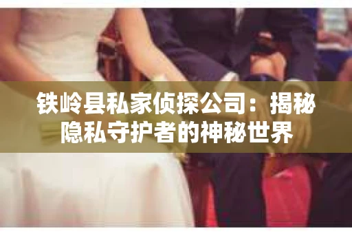 铁岭县私家侦探公司：揭秘隐私守护者的神秘世界