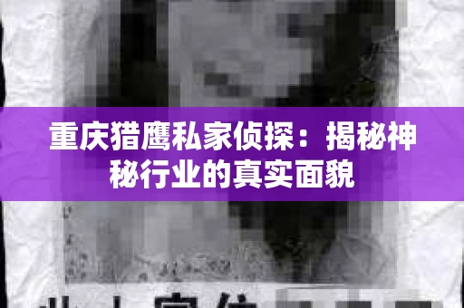 重庆猎鹰私家侦探：揭秘神秘行业的真实面貌