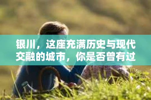 银川，这座充满历史与现代交融的城市，你是否曾有过这样的疑问：银川有私家侦探公司吗？今天，就让我带你一起揭开这个谜团。