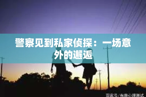 警察见到私家侦探：一场意外的邂逅