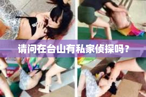 请问在台山有私家侦探吗？