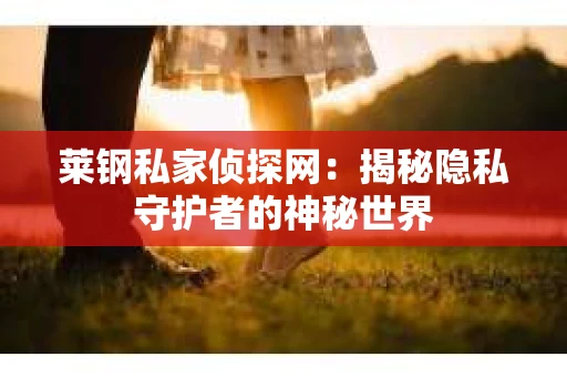 莱钢私家侦探网：揭秘隐私守护者的神秘世界
