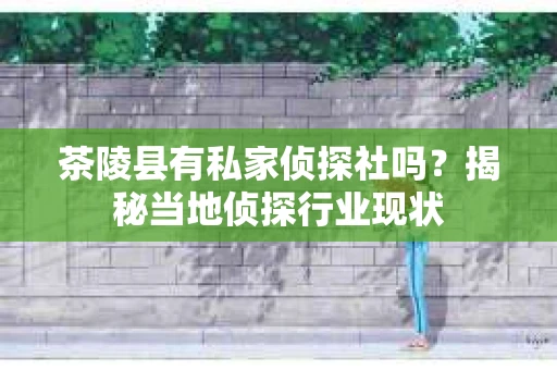茶陵县有私家侦探社吗？揭秘当地侦探行业现状
