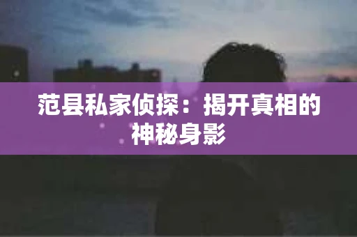 范县私家侦探：揭开真相的神秘身影
