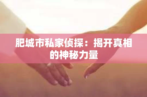 肥城市私家侦探：揭开真相的神秘力量