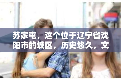 苏家屯，这个位于辽宁省沈阳市的城区，历史悠久，文化底蕴深厚。近年来，随着社会的发展，人们对于私家侦探的需求也逐渐增加。那么，苏家屯有私家侦探吗？今天，我们就来聊聊这个话题。