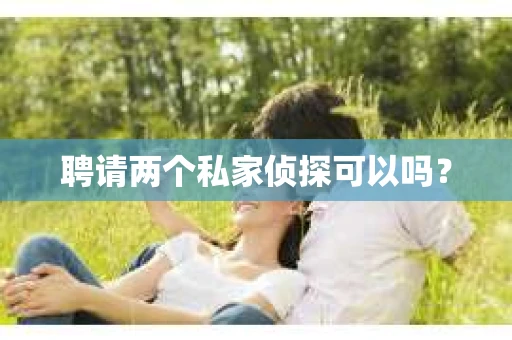 聘请两个私家侦探可以吗？