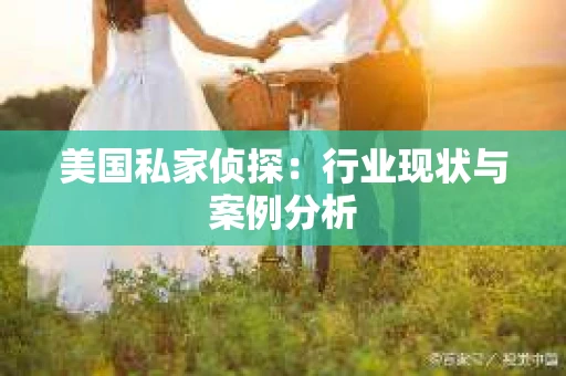 美国私家侦探：行业现状与案例分析