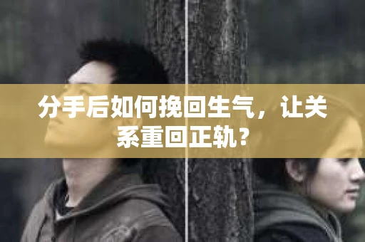 分手后如何挽回生气，让关系重回正轨？