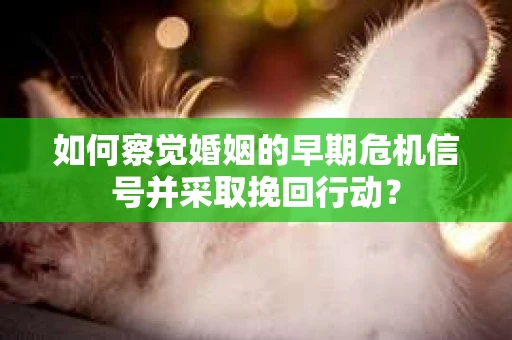如何察觉婚姻的早期危机信号并采取挽回行动？