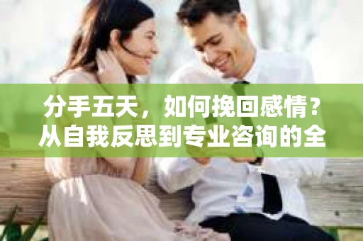 分手五天，如何挽回感情？从自我反思到专业咨询的全面解决方案
