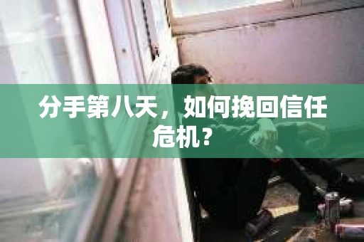 分手第八天，如何挽回信任危机？